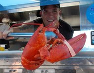 photo thumbnail