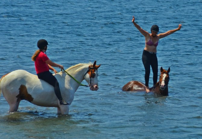 Water horses at Fiesta Island