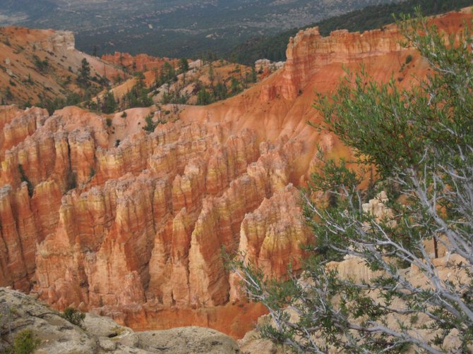 Bryce Canyon National Park, Utah August 2012