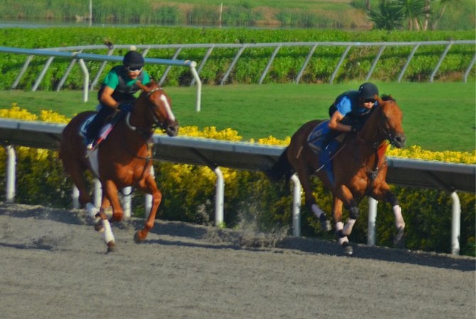 Daybreak at Del Mar