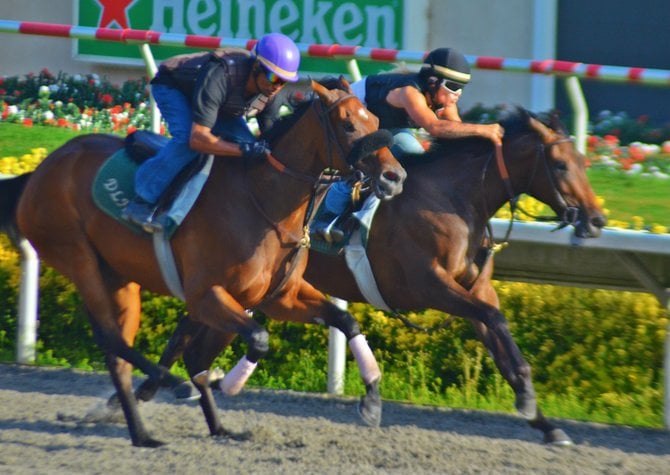 Giving the Horses a Run for Your Money. Daybreak at Del Mar.