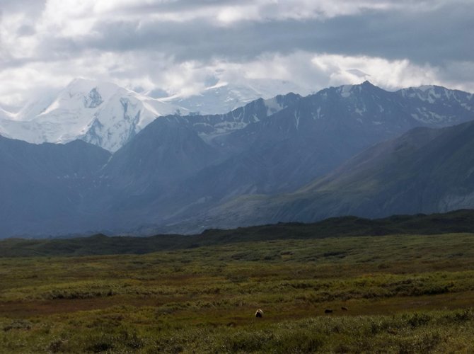 View at Denali National Park. If you look closely you might see a grizzly and two cubs.