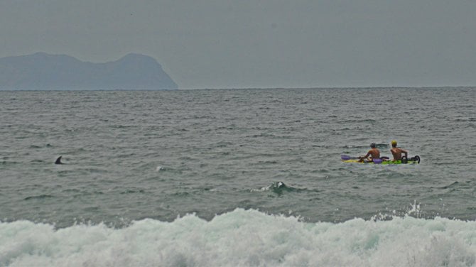 Kayakers following a pod of dolphins at Silver Strand State Beach, Coronado