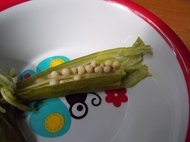 photo thumbnail