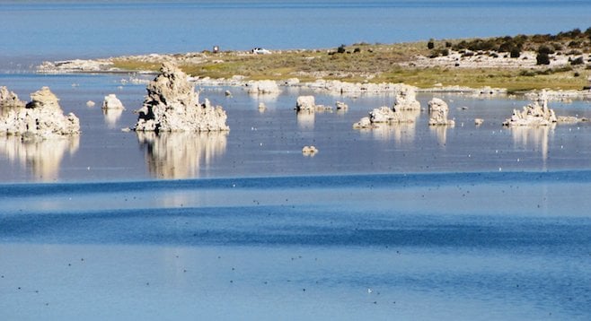 Characteristic tufa tower formations along the Mono shoreline. They're particularly concentrated at the lake's south end. 