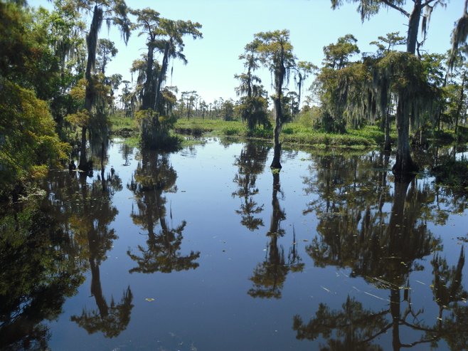 Louisiana photo