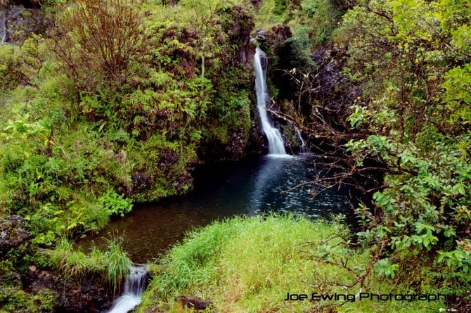 Waterfall on the road to Hana









Maui, Hawaii