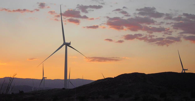 Windmills in Ocotillo at sunset