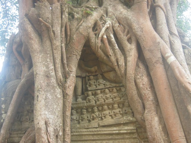A tree seems to swallow up Hindu carvings on this temple in Cambodia.