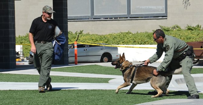 A police canine and sample bad guy.  Photo Weatherston