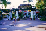 photo thumbnail
