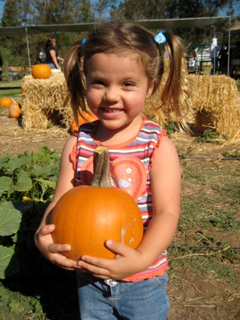 Family Pumpkin Patch | San Diego Reader