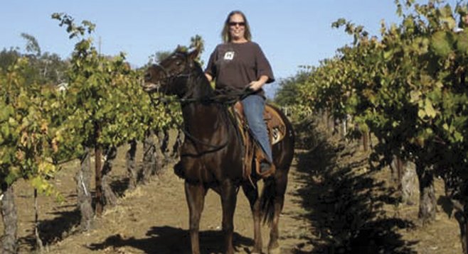 Vineyard riding with Wine Country Trails by Horseback 