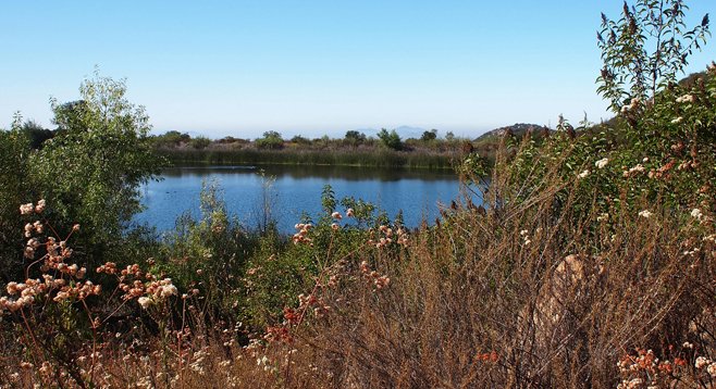 Twenty-five miles of trails wind through the Daley Ranch nature preserve in Escondido. The Sage Trail offers views of Mallard Pond.
