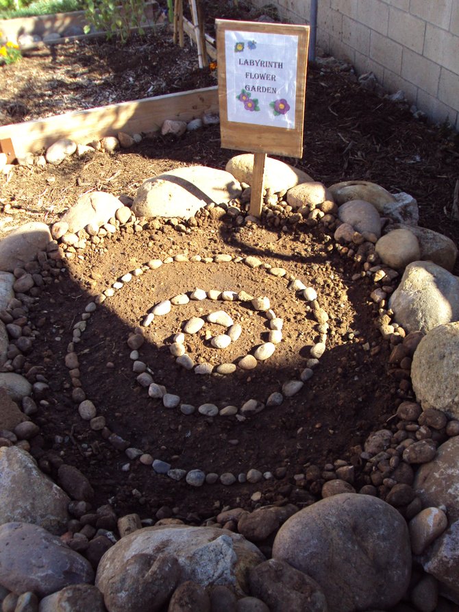 On 11-11 at 11 AM, on Remembrance Day, I planted a Labyrinth Flower Garden in our Altadena Community Pocket Garden, to remember all that have come before us and gave of themselves, so we could be free. God Bless A Vet!