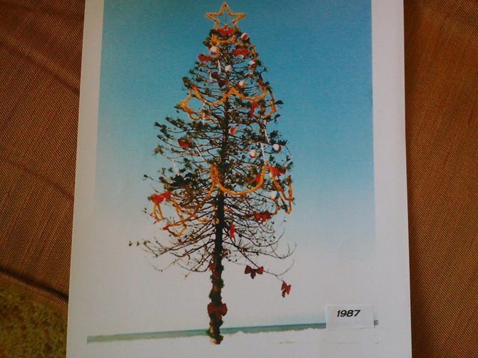 Jean Lewin's photo of O.B.'s Christmas tree in 1987