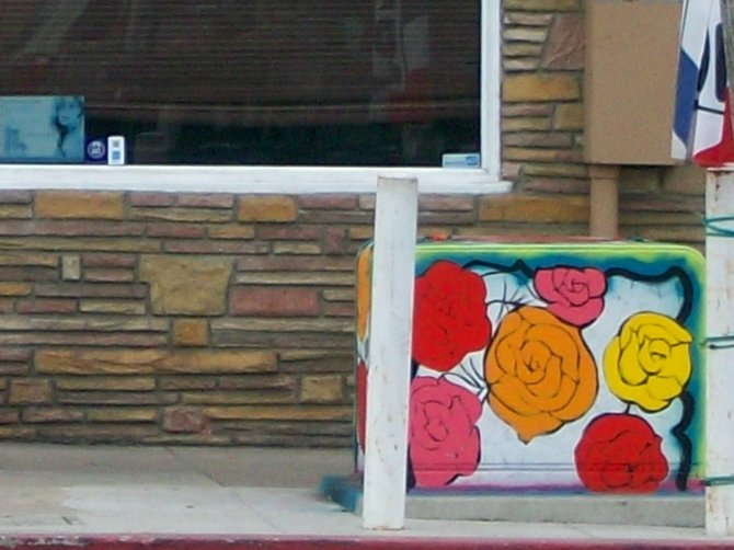 Pretty rose-themed utility box art along Voltaire St. in Ocean Beach.
