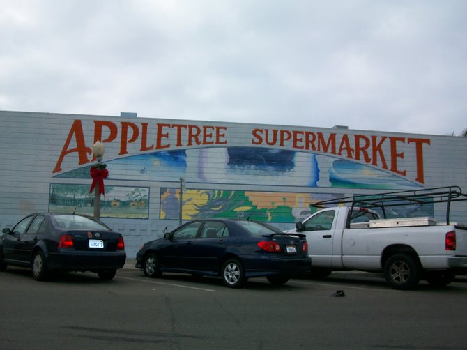 When Apple Tree closes later in the year, I hope they leave this mural behind in Ocean Beach.
