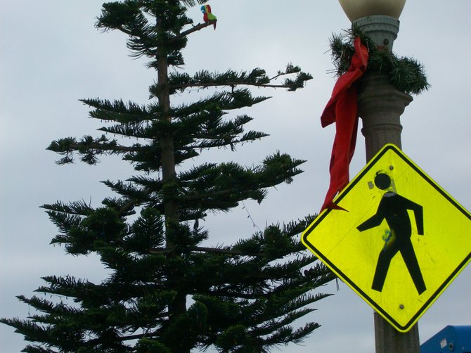Ocean Beach Christmas tree at foot of Newport Ave.  Also Pedestrian crossing.