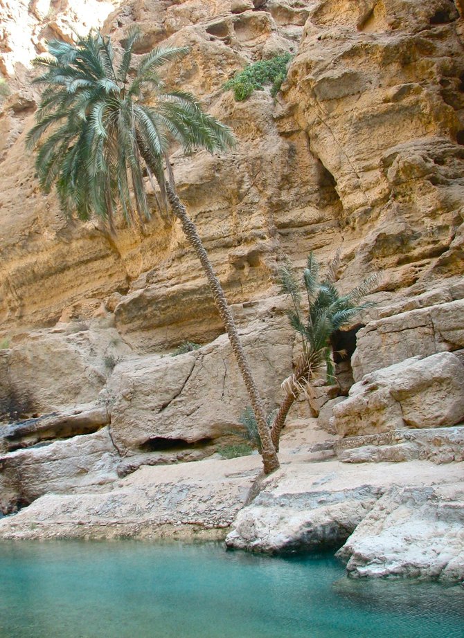 While trekking up this wadi outside of the city of Muscat, Oman, there were several instances where I had to dive under rocks and through water caves to get through to the other side. As we headed further and further up, the vegetation grew sparser. 