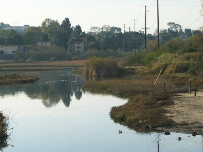 Famosa Slough in Ocean Beach on a quiet winter morning,