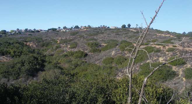 In many ways, Kate O. Sessions Memorial Park, situated in the hills bordering Pacific Beach and La Jolla, is a perfect reflection of its namesake.
