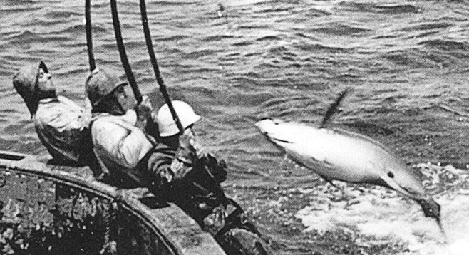 1940s tuna boat.
Photo from the American Tuna Boat Association, Zolezzi Photographic Collection, MMSD