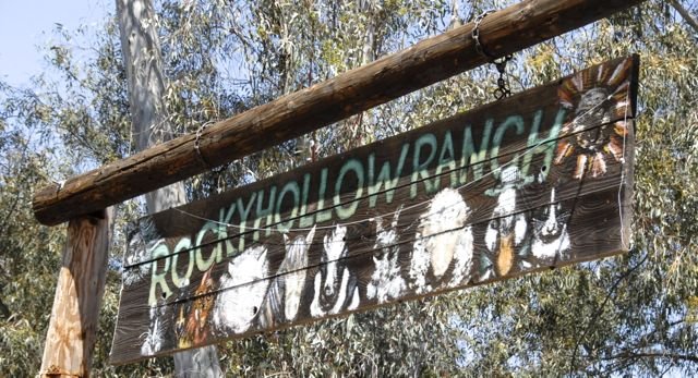 Rocky Hollow Ranch was previously called The Purple Cow & Friends.  Photo Weatherston.