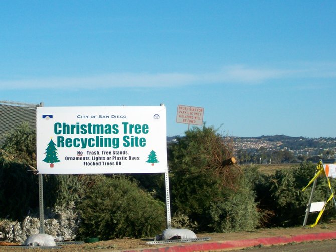 City of San Diego Christmas tree recycling at Robb Field in Ocean Beach.