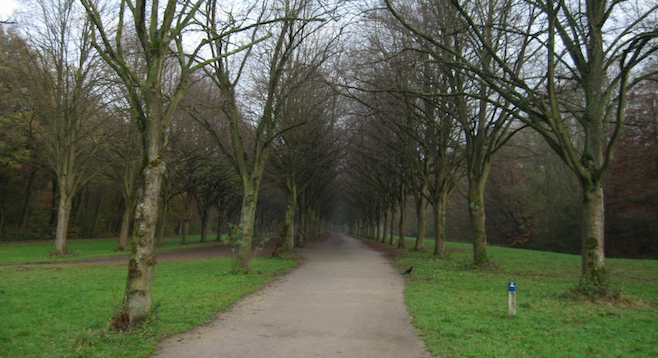 Into the woods in Amsterdamse Bos, a refuge from the city's array of street traffic. 