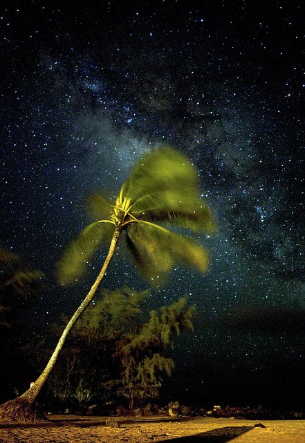 Poipu, Kauai, Hawaii

Shot by me, Melissa Emmons.