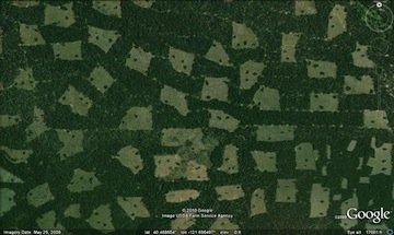 Satellite view of Sierra Pacific Industries logging operations in Northern California