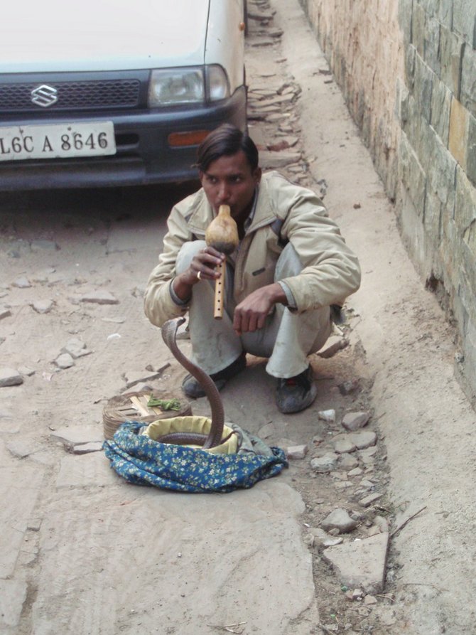 Delhi snake charmer (no doubt worth the price of the photograph).