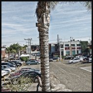 photo thumbnail