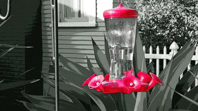 I shot this hummingbird feeder in University Heights. I used an in-camera partial color effect, then enhanced it in Photoshop (using the Poster Edges filter).
