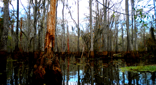 Cruising the bayou in outlying New Orleans – who knows what spirits are lurking...