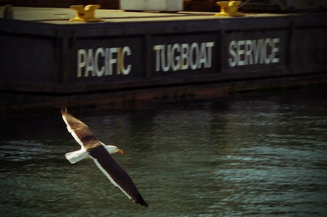 Pacific Tugboat Service, San Diego Harbor, CA