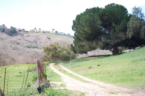 A view of the adobe from the valley