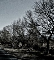 photo thumbnail