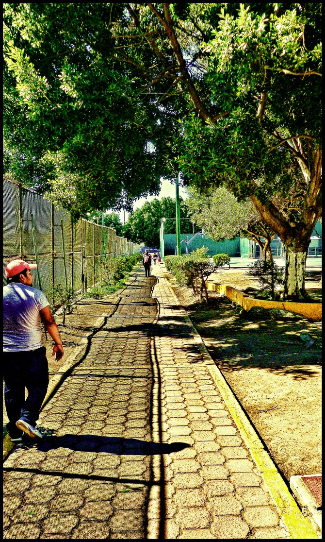 BAJA CALIFORNIA
WALKWAY IN COMMUNITY SPORTS CENTER IN TIJUANA/Caminador en Unidad Deportiva Tijuana en Tijuana,Baja California