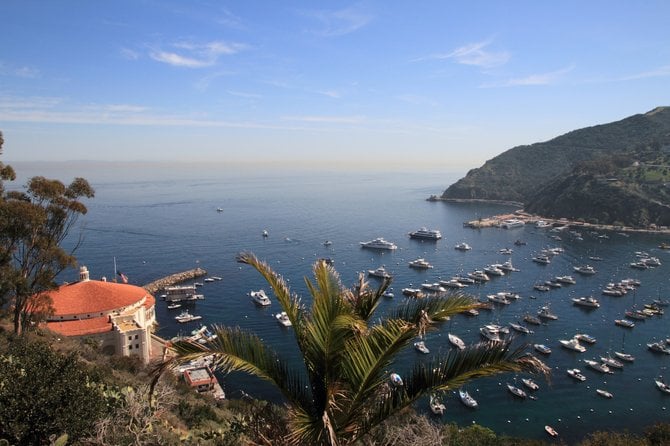 Flew to Catalina Island "airport in the sky" Saturday morning and took the Bus down the mountain to Avalon.  Besides the Buffalo herd we passed on the way this was the first cool view from the bus.