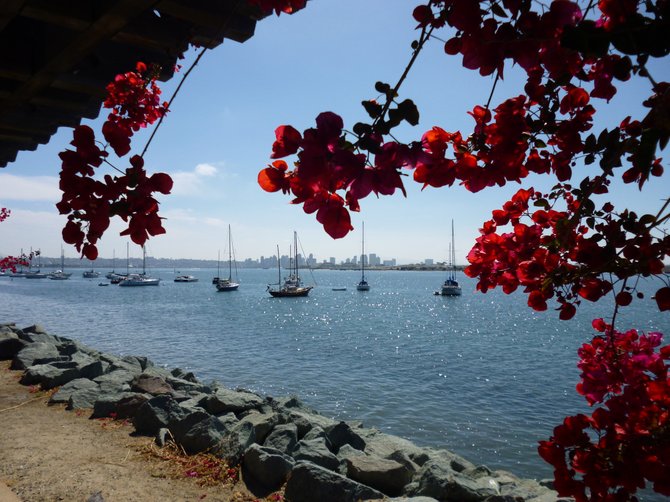 Downtown San Diego from downtown Marina