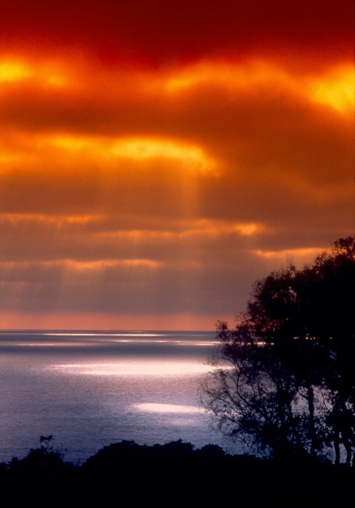 "Rays of Hope" from the Fine Art collection of photography by Robert Chartier.
This photograph was shot with a 35mm Pentax ME-Super film camera in "2006" at iso 50, shooting with FUJI VELVIA film stock.
LOCATION: LaJolla at the top of the hill just North of Scripps Pier.