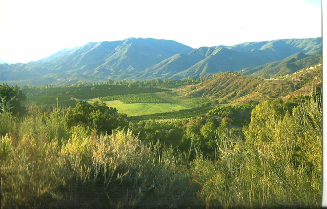 Picture-perfect view of the Ojai Valley. 