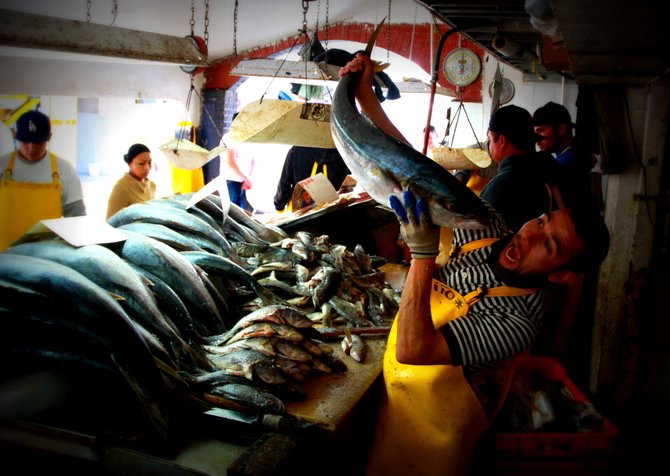 Fish market in Ensanada, Mexico