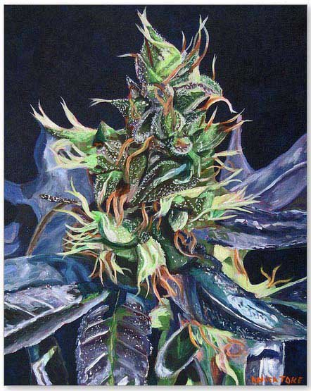 Cannabis art by Anita Toke
