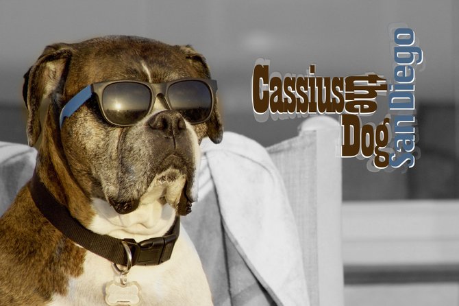Cassius the Dog :)

Hope you like it 