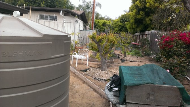 One of three 865 gallon tanks looks over the compost bin and into the garden. There is about three thousand feet of roof draining into these tanks making them overflow after 1.25 inches of rain.