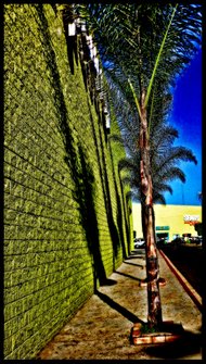 photo thumbnail