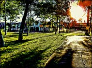 photo thumbnail